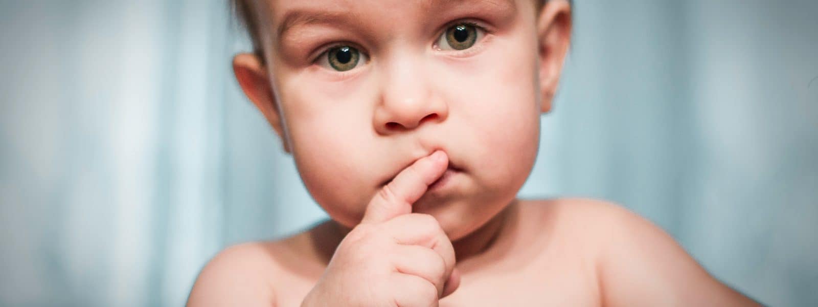 self regulation in toddlers