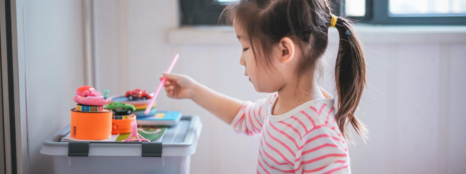 executive functioning skills