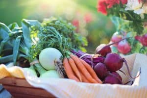 summer farm stand