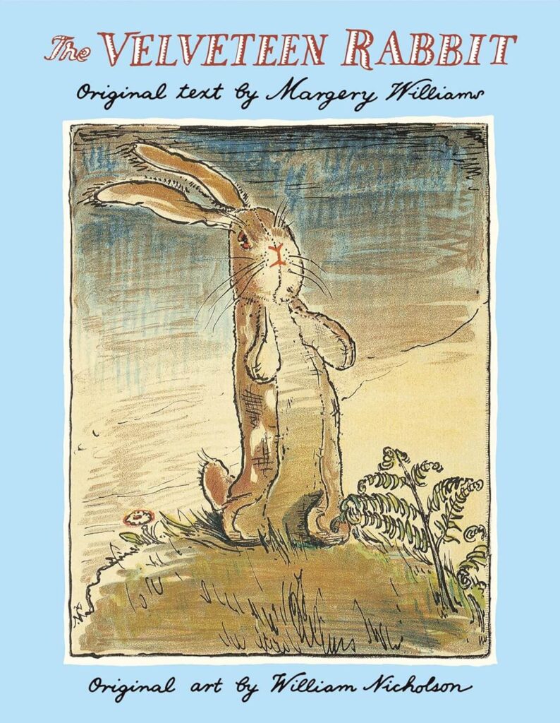 the velveteen rabbit book