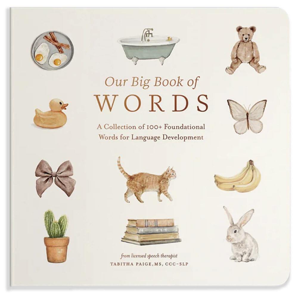 our big book of words
