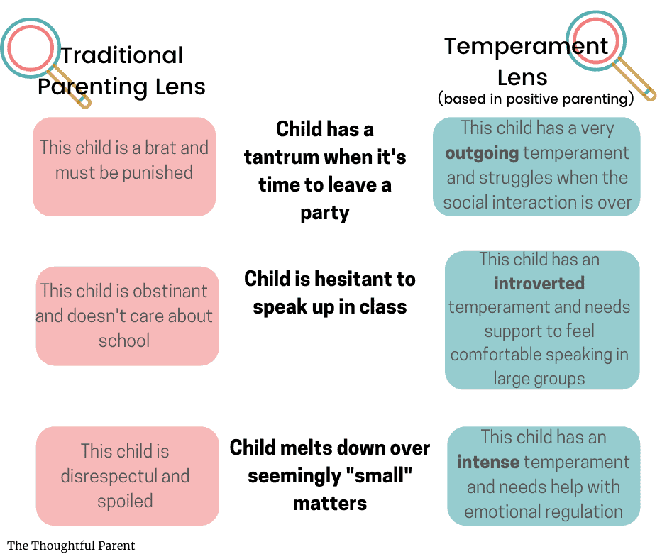 How Would You Describe A Child S Temperament