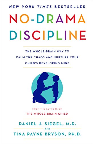 no drama discipline no-drama discipline