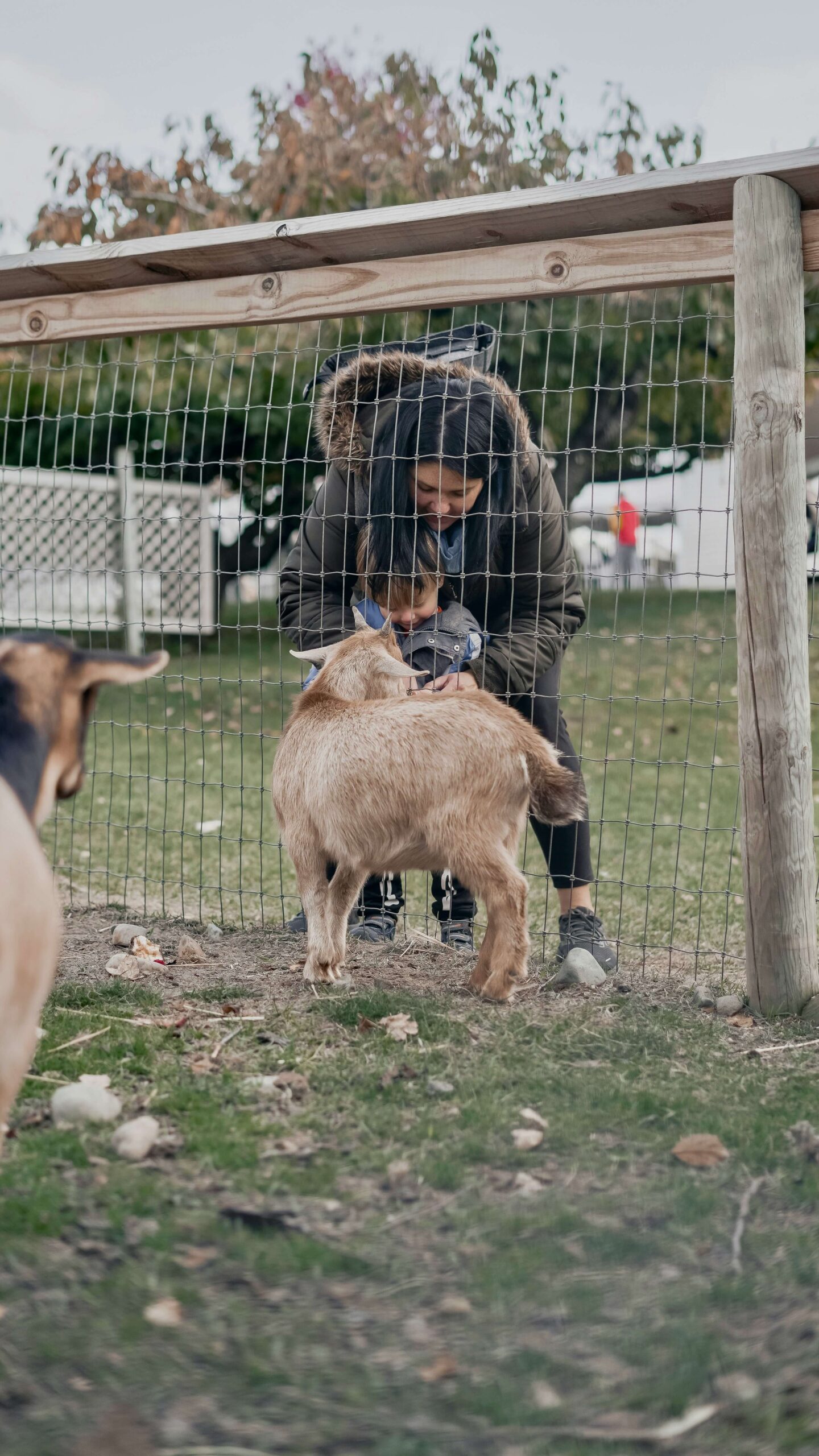 experience gifts kids