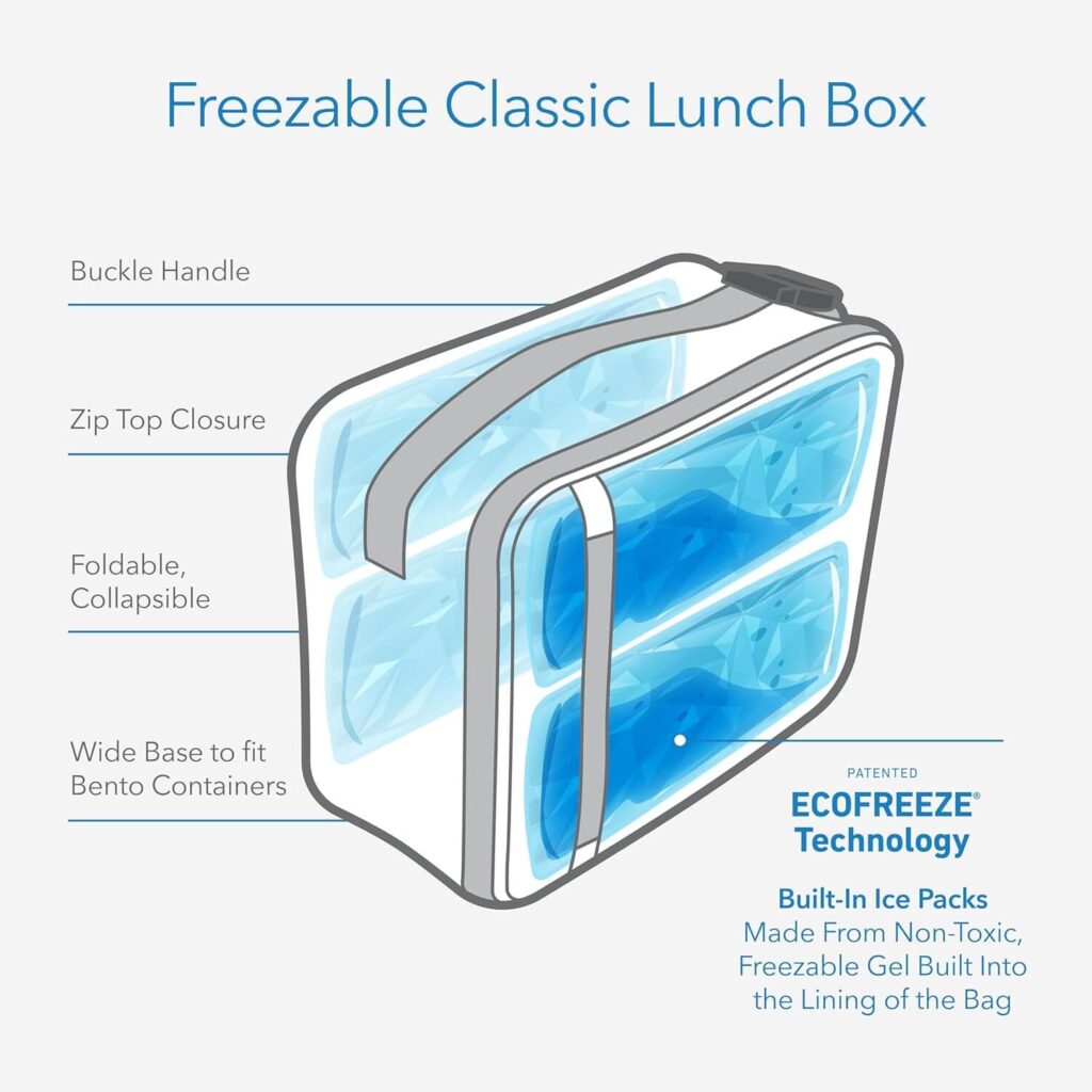 back to school lunchbox
