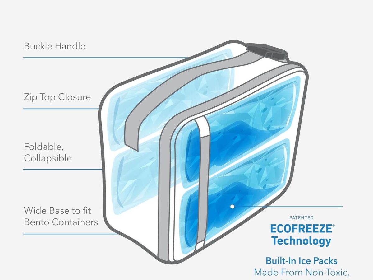 back to school lunchbox