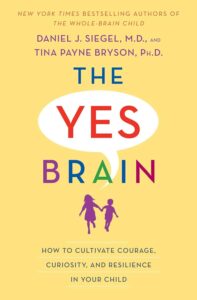book cover for The Yes Brain