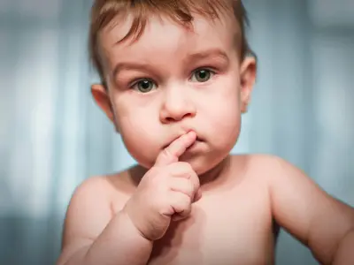 self regulation in toddlers