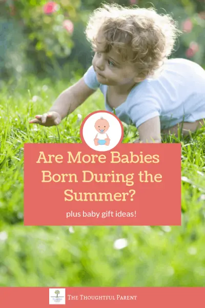 are more babies born during the summer