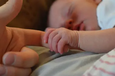 attachment theory