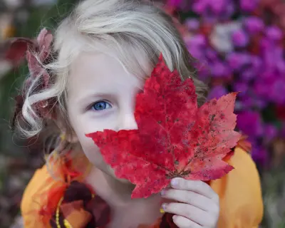 problems with online preschool