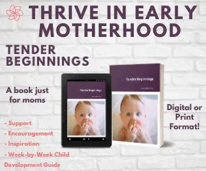 book for new moms