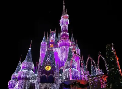 disneyworld at night